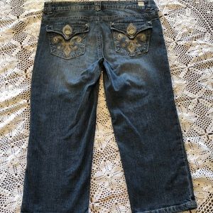 ⚜️⚜️EUC Democracy Fleur de lis Crop Jeans